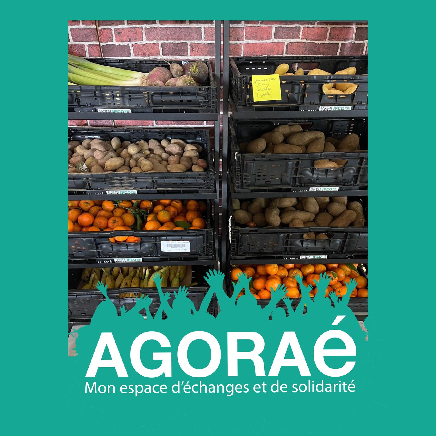 Retour sur l&rsquo;activité de l&rsquo;AGORAé — Année 2025-2026